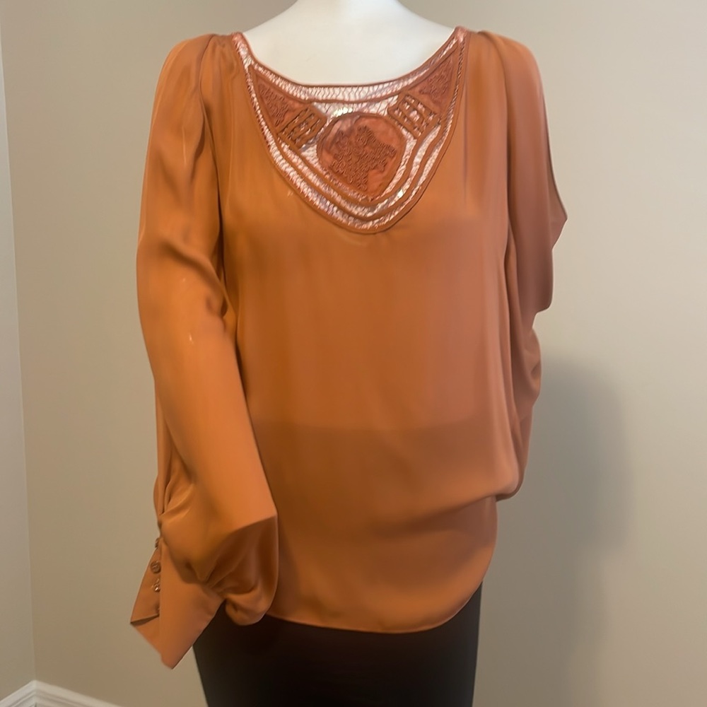 Haute Hippie Bronze Silk Chiffon Top Dolmam Sleeves Deep Embellished V-Neck M EC - Picture 3 of 15